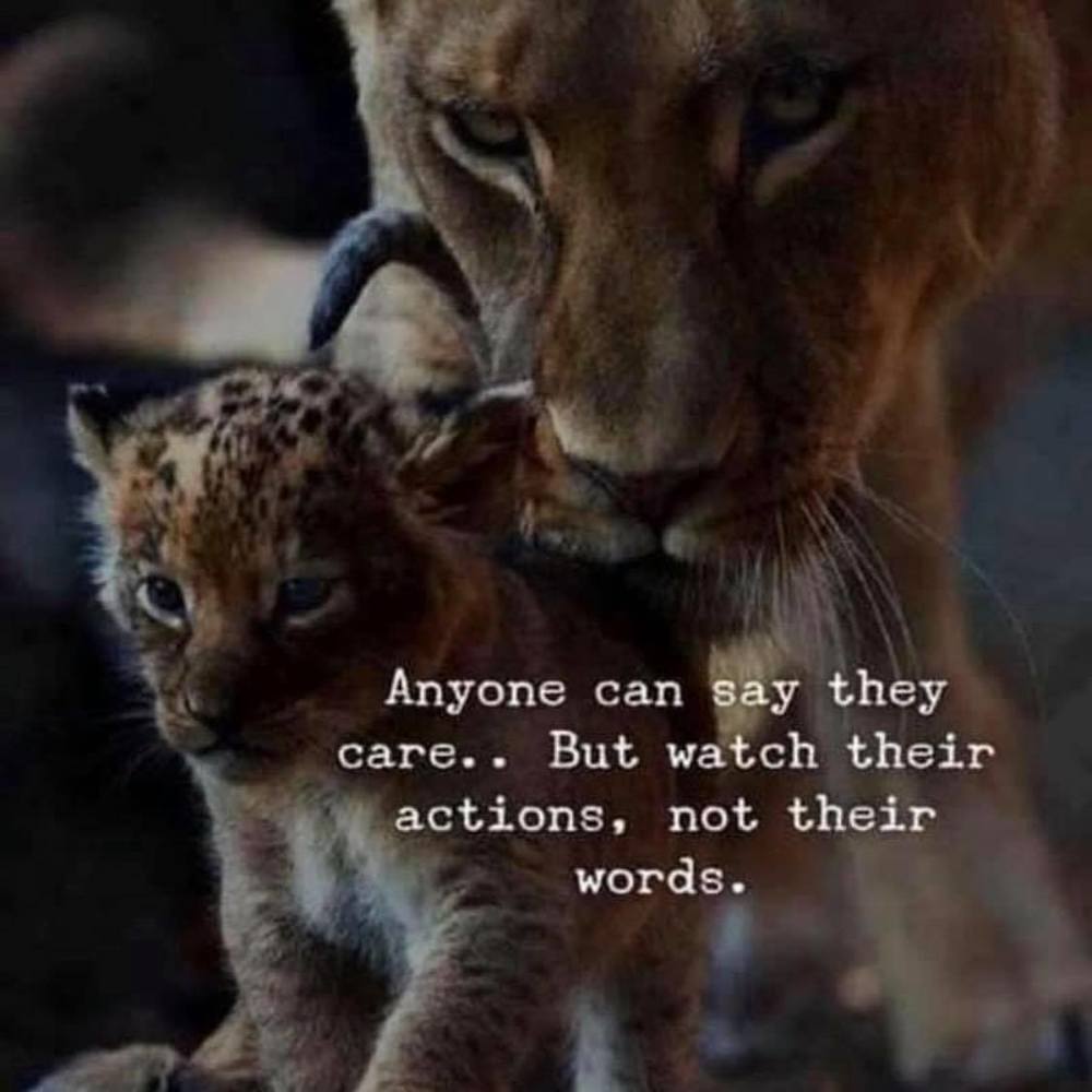 Meet your Posher, Antonio